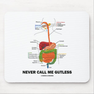 Never Call Me Gutless (Digestive System Humour) Mouse Mat