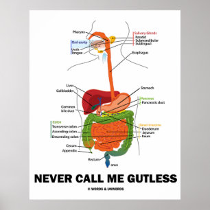 Never Call Me Gutless (Digestive System Humour) Poster