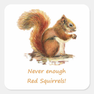 Never Enough Red Squirrels Fun Animal Quote Square Sticker