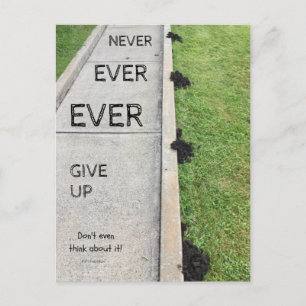 Never Ever Give Up. Postcard