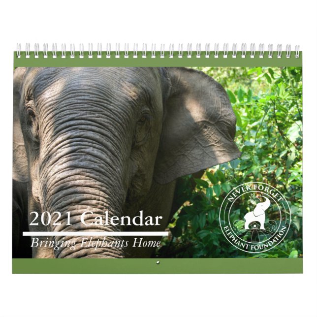 Never Forget Elephant Foundation 2021 Calendar (Cover)