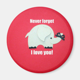 Never forget I love you! Magnet