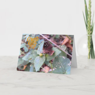 Never Give Up Blank Butterfly Greeting Card