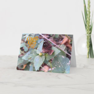 Never Give Up Blank Butterfly Greeting Card