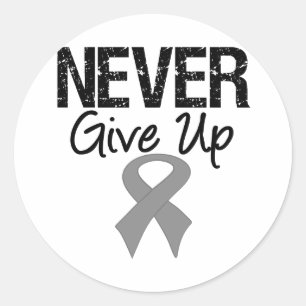 Never Give Up (Brain Cancer) Classic Round Sticker