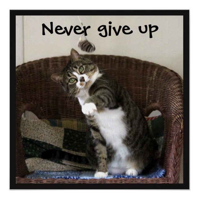 Never Give Up - Cat Chasing Mouse Poster (Front)