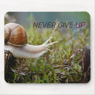 NEVER GIVE UP - snail edition Mouse Mat