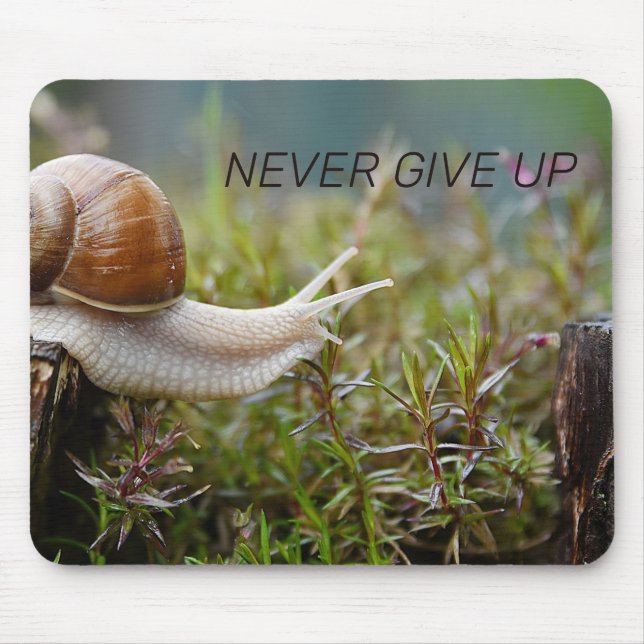 NEVER GIVE UP - snail edition Mouse Mat (Front)