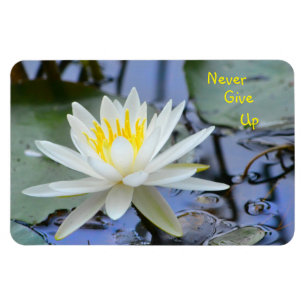 Never Give Up Water Lily Magnet