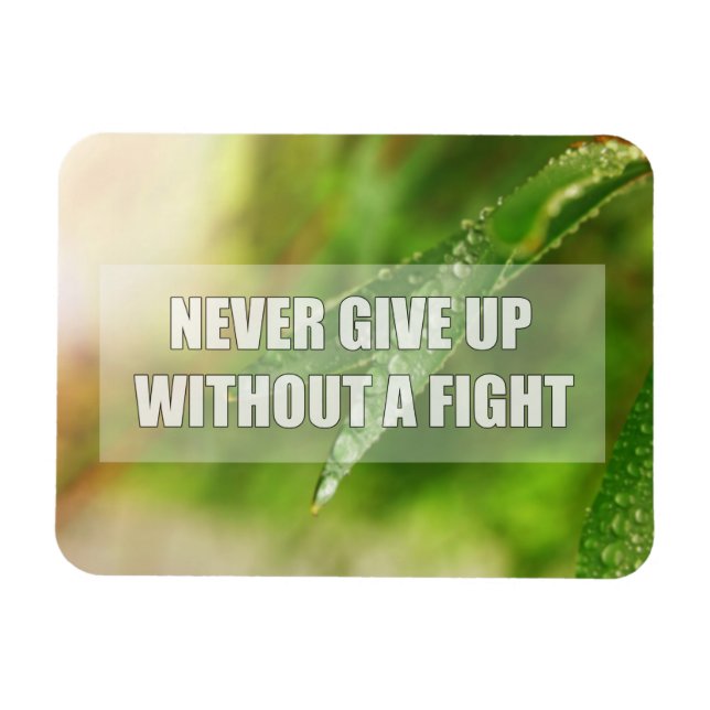 Never give up without a fight magnet (Horizontal)
