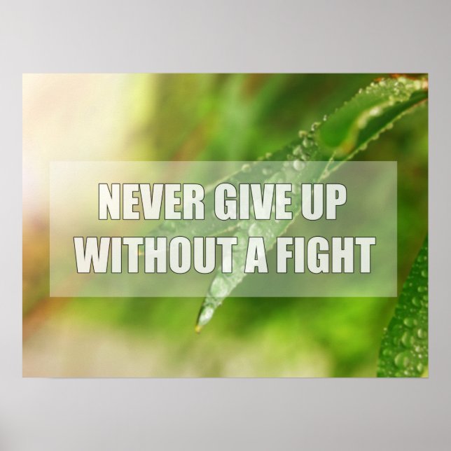 Never give up without a fight poster (Front)
