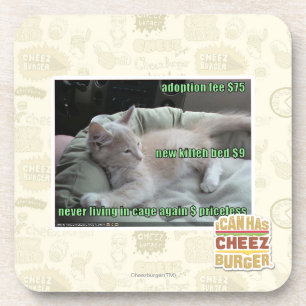 Never living in a cage again coaster