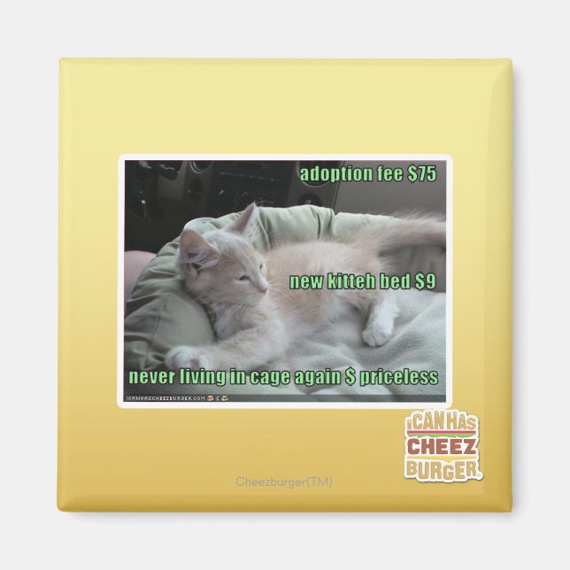 Never living in a cage again magnet (Front)