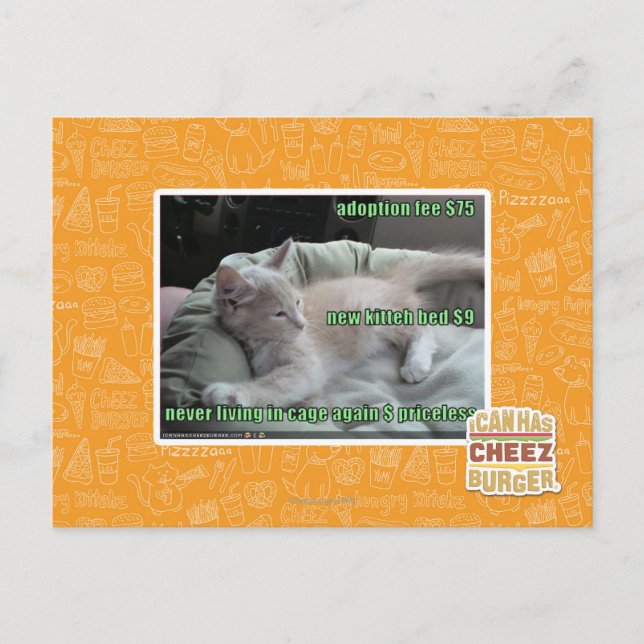 Never living in a cage again postcard (Front)