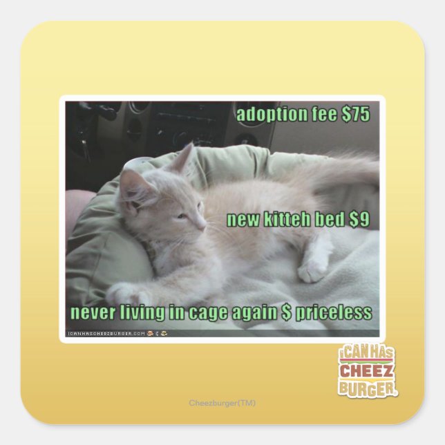 Never living in a cage again square sticker (Front)