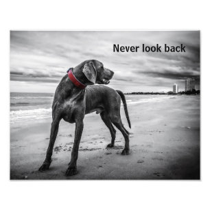 Never look back photo print