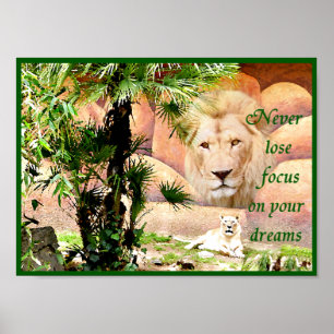 Never lose focus_ poster