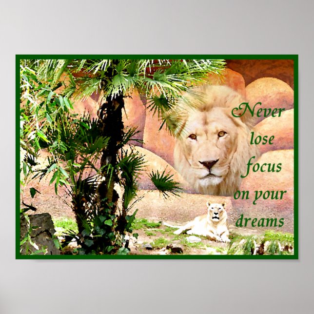 Never lose focus_ poster (Front)