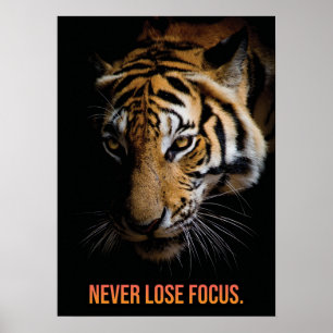 Never Lose Focus - Tiger, Success, Entrepreneur Poster