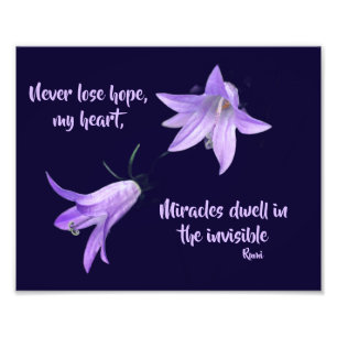 Never Lose Hope Rumi Inspirational Quote 8x10 Photo Print