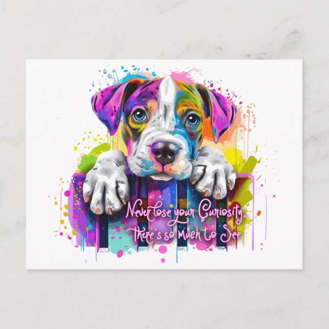 Never Lose Your Curiosity, There’s So Much to See Postcard (Front)