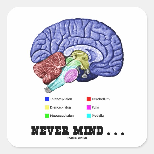 Never Mind ... (Brain Anatomy Psyche Humour) Square Sticker (Front)