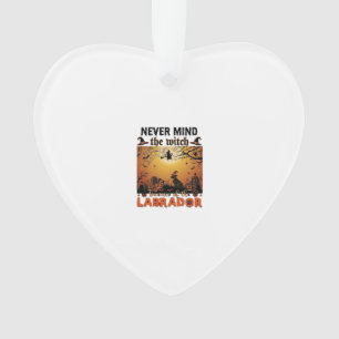 Never Mind Witch Beware Labrador Halloween Dog Pum Ornament