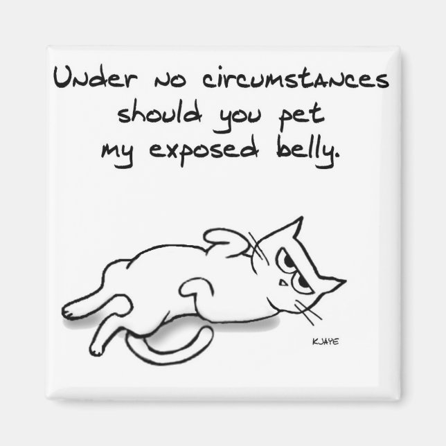 Never Pet the Cat Belly - Funny Cat Fridge Magnet (Front)