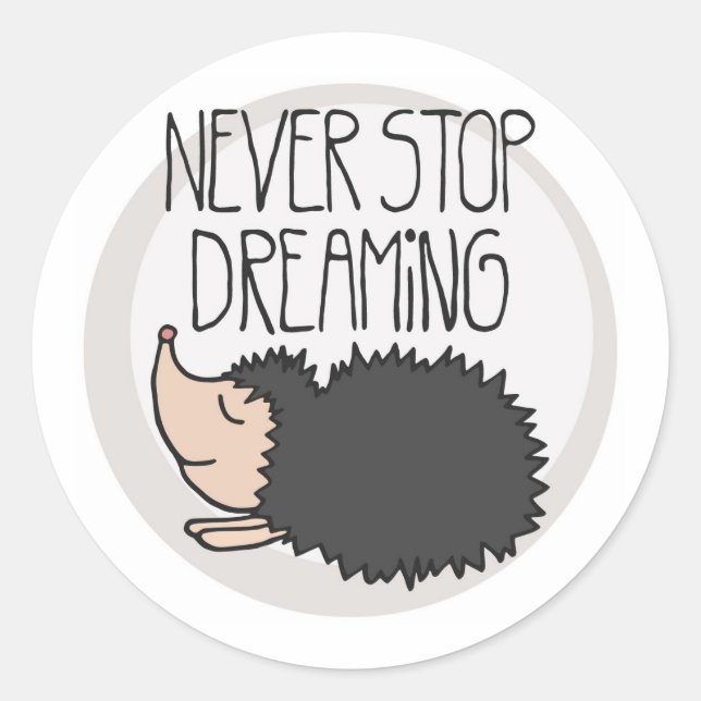 Never Stop Dreaming Classic Round Sticker (Front)