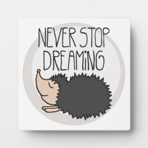 Never Stop Dreaming Plaque