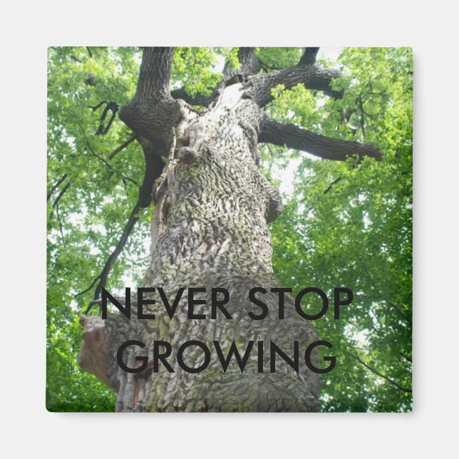 NEVER STOP GROWING MAGNET (Front)