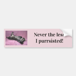 Never the less I purrsisted Bumper Sticker