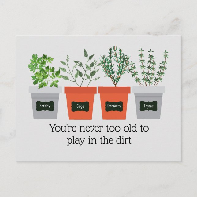 Never to Old Fun Gardening Quote Postcard (Front)