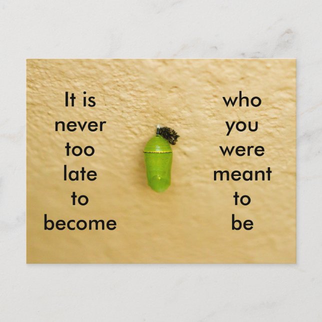 Never Too Late To Become Who You are Meant To Be Postcard (Front)