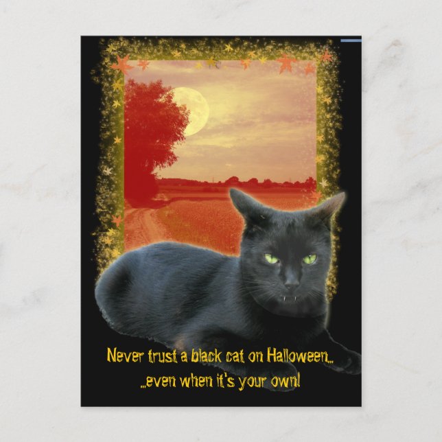 Never trust a black cat on Halloween Postcard (Front)