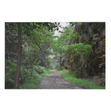 Neverending Mountain  Trail