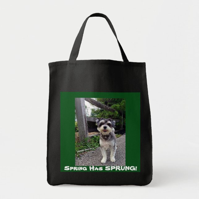 *NEW* 2015 Spring Has SPRUNG! Carmine Winston tote Bag (Front)