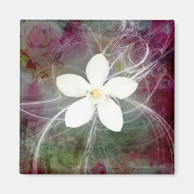 New 5 Large Square Magnet (Front)