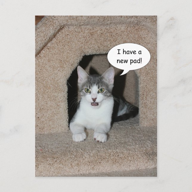 New Address Announcement Postcard (Front)