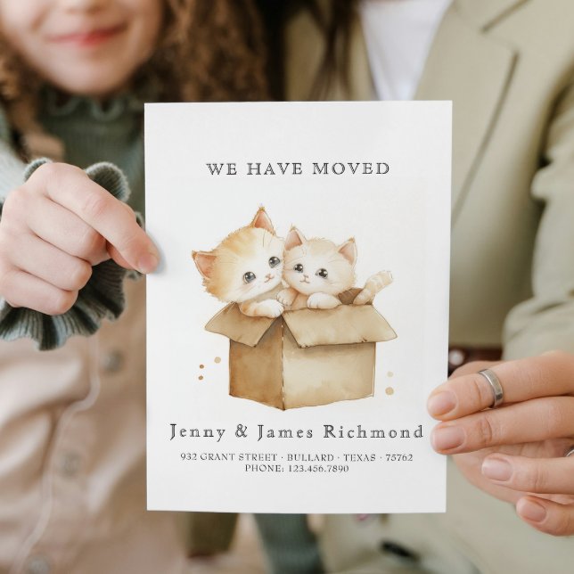 New Address Cute Cats in Carboard Box Announcement (Creator Uploaded)
