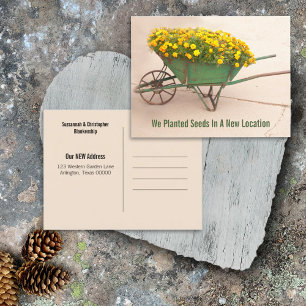 New Address Marigolds In Vintage Wheelbarrow Postcard