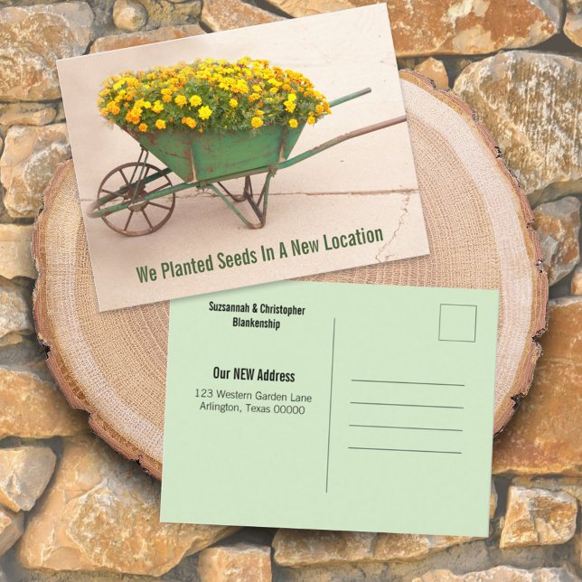 New Address Marigolds In Vintage Wheelbarrow Postcard (Creator Uploaded)