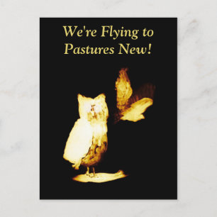 New Address Moving Home Owls Postcard