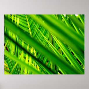 (New Arrival) Poster Print