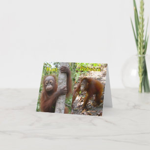 New Baby Announcement