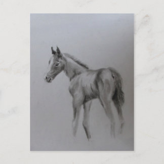 New Baby Announcement Postcard