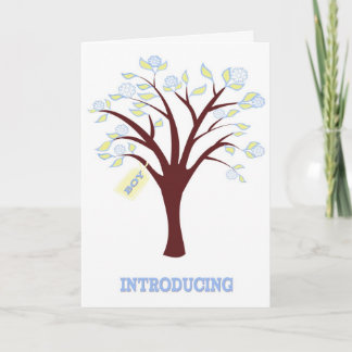 New Baby Boy Announcement