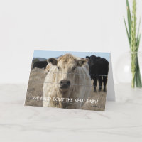 New Baby Congratulations - Cattle Herd - Western