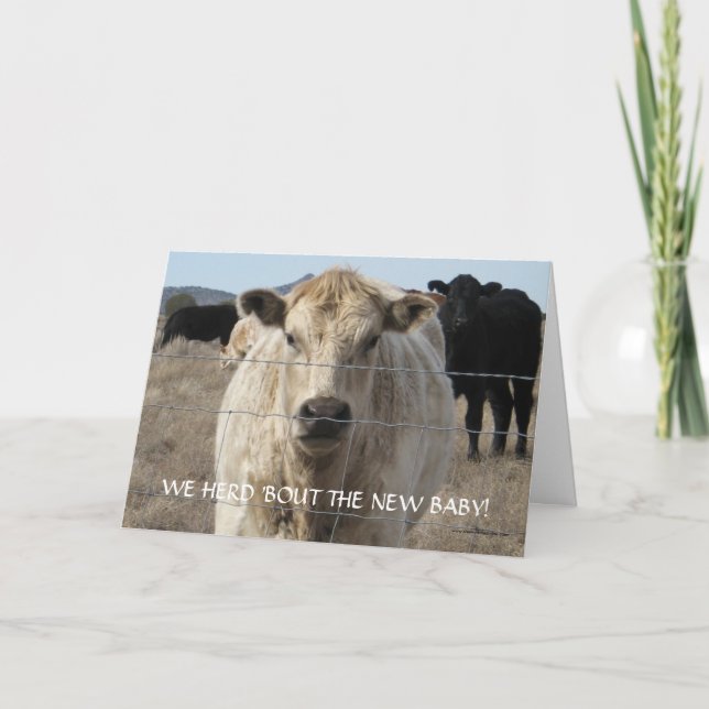 New Baby Congratulations - Cattle Herd - Western Card (Front)