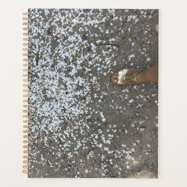 New Beginnings and First Steps Planner  (Front)